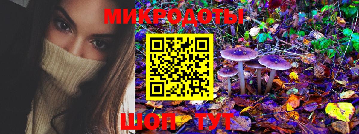 Батайск  даркнет сайт  Вход с VPN  Псилоцибиновые грибы GOLDEN TEACHER 