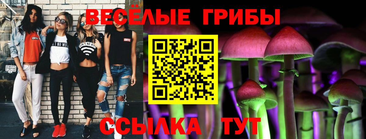 Псилоцибиновые грибы ЛСД Батайск